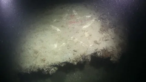 SCUBA diver cleaning a wing of Soviet plane wreck from silt underwater Stock Footage 82731422