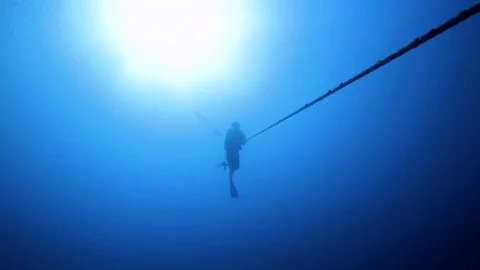 Scuba diver climbing down a rope into the ocean Stock Footage 80431440
