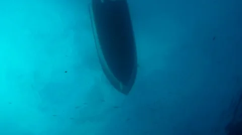 Scuba Diver Coming Up Stock Footage 7757497