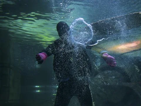 Scuba diver creating bubble rings underwater in a tropical aquarium Stock Photos