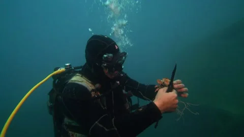 A Scuba Diver Cuts Net to Set a Crab Free Underwater Stock Footage 143486159