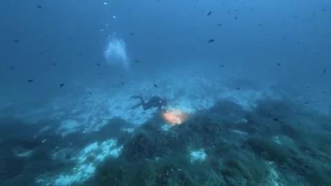 Scuba diver in a deep underwater scene Stock Footage 345263792