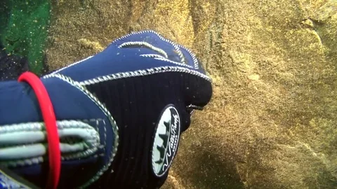 SCUBA diver demonstrating a coin found underwater Stock Footage 83102556
