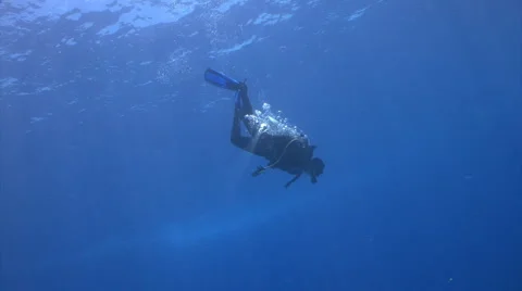 Scuba Diver descending from surface Stock Footage 2699952