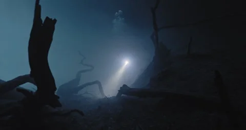 Scuba Diver Diving with a Flashlight Stock Footage 270122726