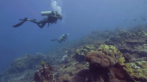 Scuba diver diving underwater blue sea over beautiful coral reef and fish Stock-Footage 100488296