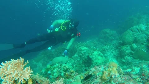 Scuba diver on the edge of the cliff Stock Footage 257393654