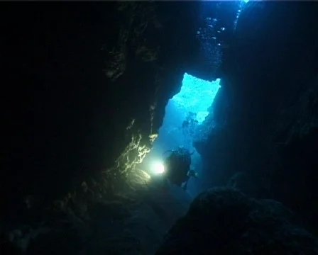 Scuba diver exploration (C008) 動画素材 99338