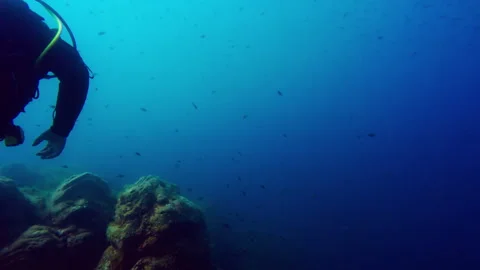 Scuba Diver Explores Rocky Reef with Small Fish in Clear Blue Ocean Water 動画素材 334503594