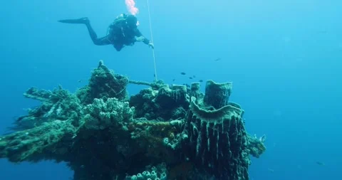 Scuba Diver Exploring Big Ship Wreck. Stock Footage 260877869