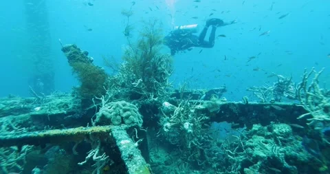 Scuba Diver Exploring Big Ship Wreck. Schools of fish swim around it Stock Footage 265219105