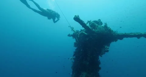 Scuba Diver Exploring Big Ship Wreck. Schools of fish swim around it Stock Footage 267827075