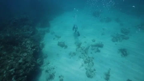 Scuba diver exploring a coral reef in Key Largo, Florida 스톡 동영상 80434950