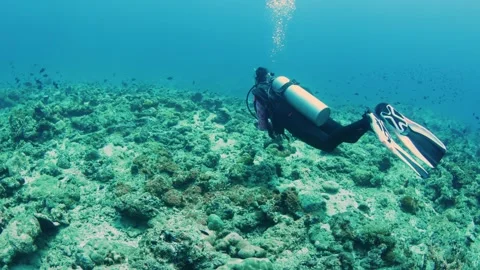 Scuba Diver exploring the coral reef in Andaman island Stock Footage 331769698