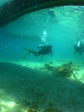 Scuba Diver Exploring a Coral Reef in the Caribbean Sea Stock Photos
