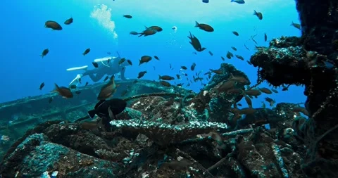 Scuba Diver Exploring Shipwreck Covered in Marine Life and Fish Video stock 327364715