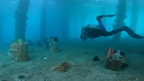 A scuba diver exploring underwater in the ocean with view of corals, fish and Stock Footage 194351264