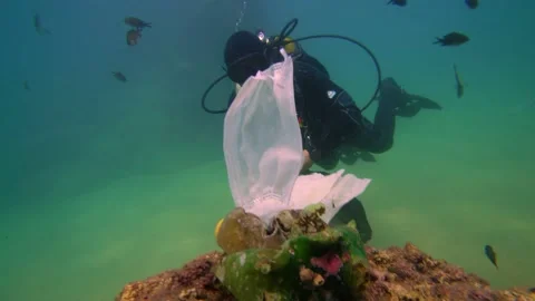 Scuba Diver Finds Single Use Trash Underwater Stock Footage 144838591