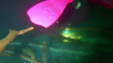 Scuba diver with a flashlight exploring the mysterious underwater world Video stock 339221808