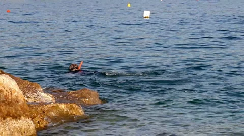 Scuba diver Vídeos de archivo 5162806