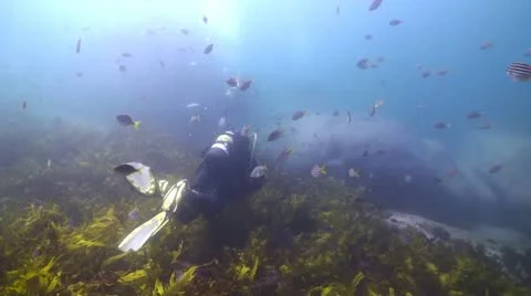 Scuba Diver Stock Footage 12663605