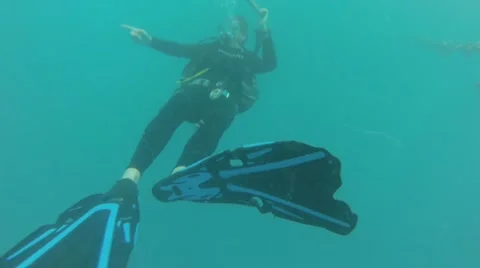 Scuba diver Video stock 58874777