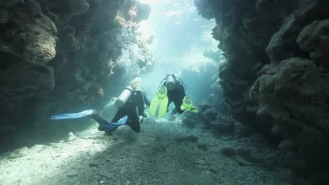 Scuba Diver Stock Footage 170770070