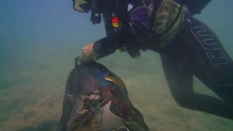 A Scuba Diver with Garbage Bag Under the Sea Stock Footage 144896683