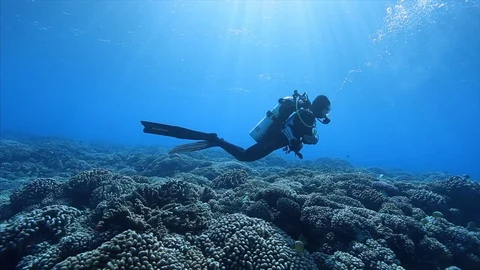 Scuba diver glides over endless coral and rays of light Stock Footage 107693526