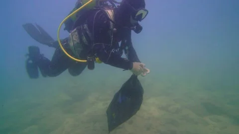 A Scuba Diver Goes With Full Garbage Bag Underwater Stock Footage 144849922