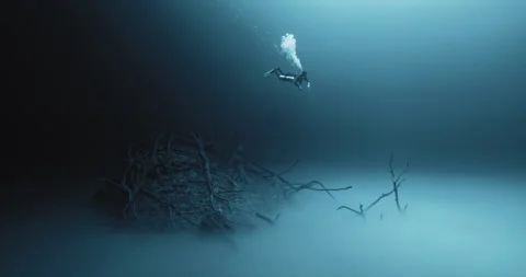 Scuba Diver going down to Seabed Stock Footage 270142846