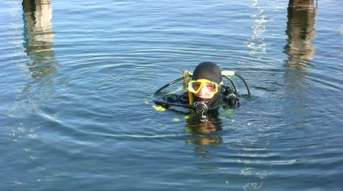 Scuba diver in a harbour Видео 274447