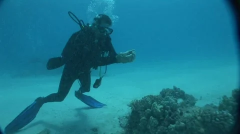 Scuba Diver Holding a Fish Stock Footage 5265407