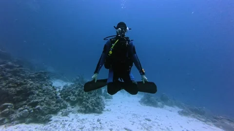Scuba Diver Hovering Midwater Over Sandy Ocean Floor Stock Footage 310570846