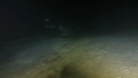 Scuba diver illuminates the bottom of the lake clearly visible,Albano lake,Italy Stock Footage 107738728