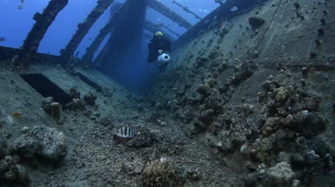 Scuba diver inside the shipwreck corridor - Umbria, Read Sea, Sudan Stock Footage 58162375