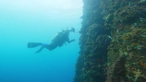 Scuba diver with light explores coral-covered wall in ocean Stock Footage 307766933