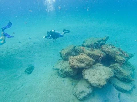 A scuba Diver looking at Reef fish swimming among the rock and coral reef i.. 写真素材