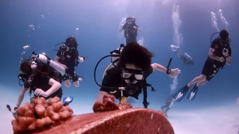 Scuba diver looking at statue underwater Stock Footage 77729238