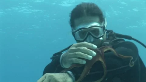 Scuba Diver With a Octopus Stock Footage 5256408