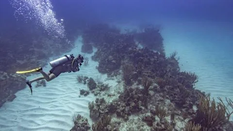 Scuba diver over tropical white sand. Stock Photos