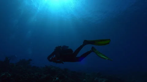Scuba diver peacefully swimming above buzzing sunlit reef. Stock Footage 242524065