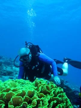 Scuba diver Stock Photos