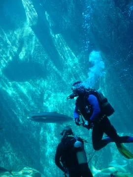 Scuba diver Stock Photos