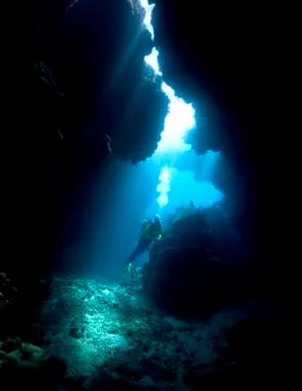 Scuba Diver Stock Photos