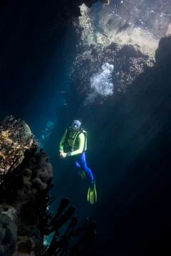 Scuba Diver Stock Photos