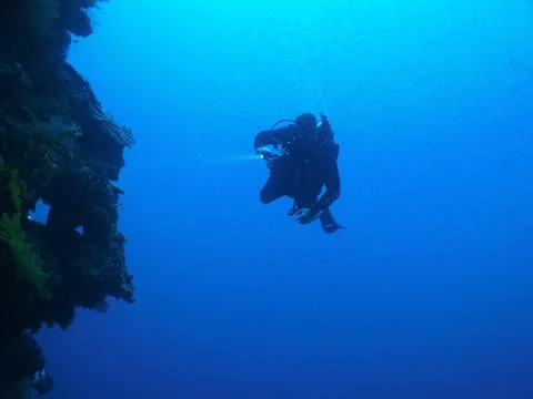 Scuba Diver Stock Photos