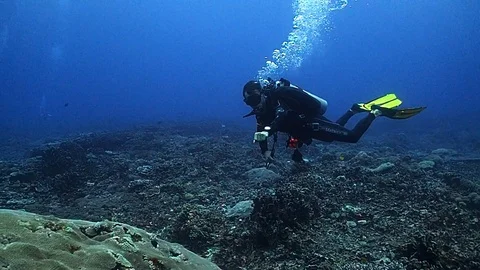 Scuba diver pointing at something Stock Footage 120597491