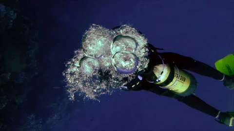 Scuba diver produces bubbles 스톡 동영상 42987342