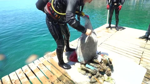 Scuba Diver Puts the Garbage Collected From Sea Stock Footage 143639283